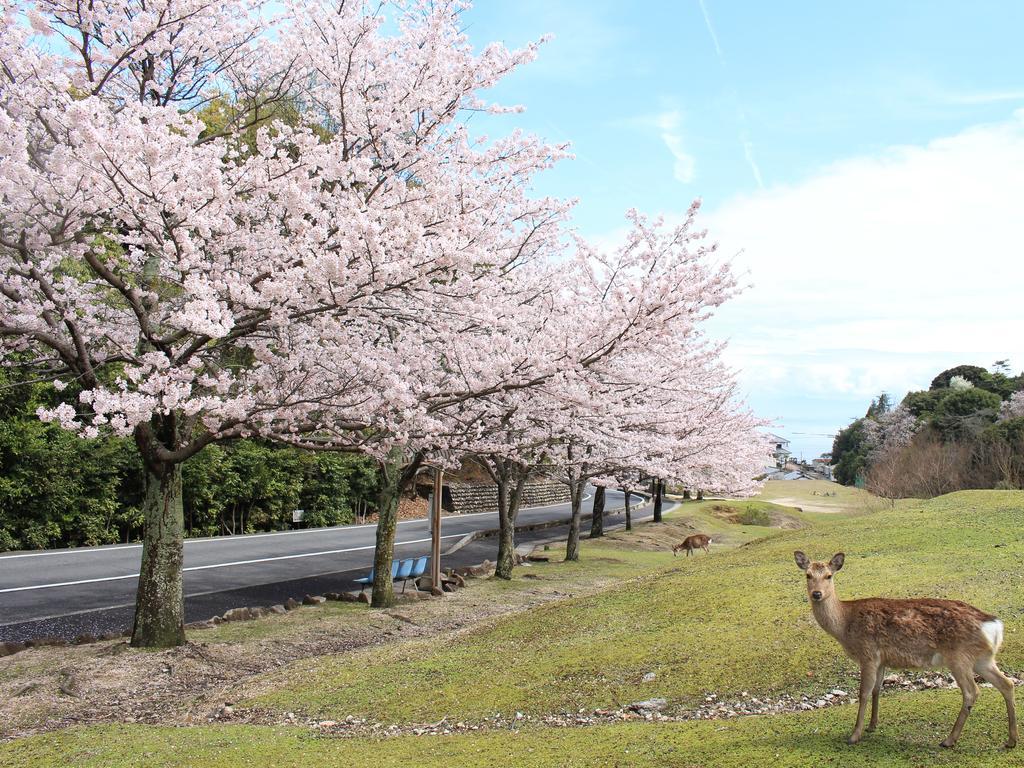 Miyajima Seaside Hotel Itsukushima Eksteriør bilde