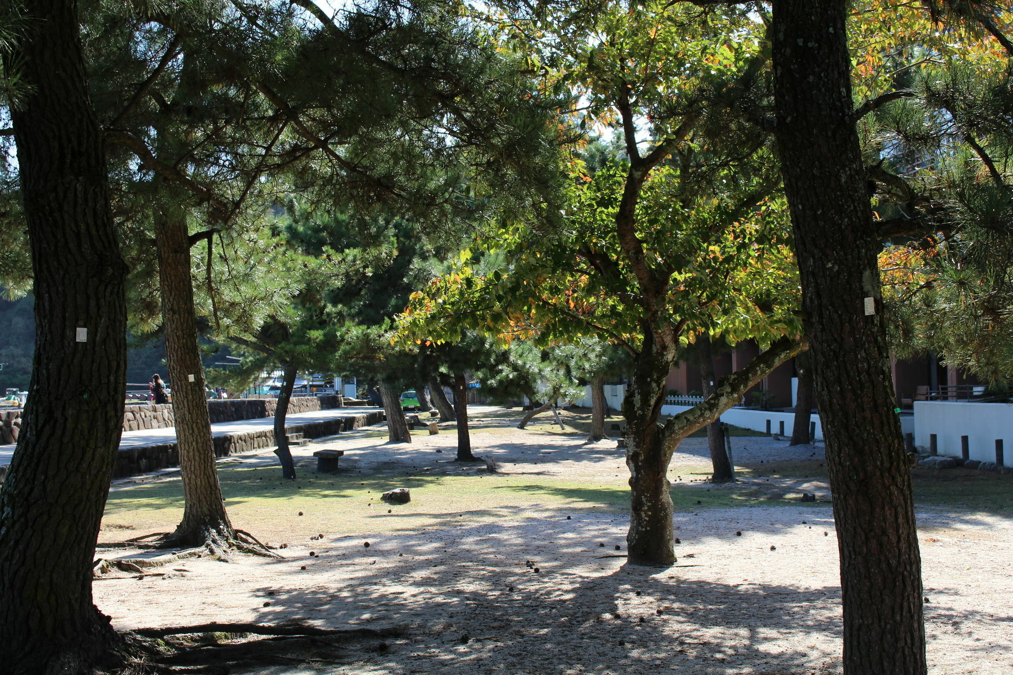 Miyajima Seaside Hotel Itsukushima Eksteriør bilde